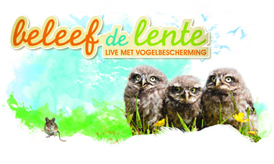 Beleef de Lente